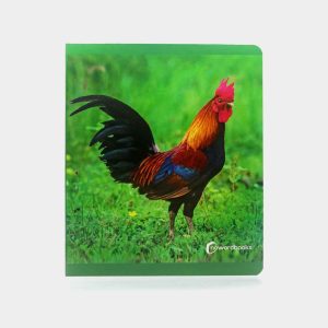 Libro Grande Animales de la Granja Nowordbooks